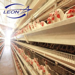 Sistema di Allevamento in Gabbie a Batteria Tipo H <span class=keywords><strong>Serie</strong></span> Leon per Galline Ovaiole - Product Image 1