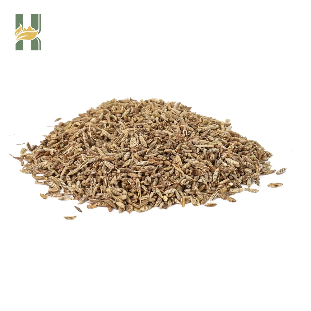 SFG suppliers wholesale organic cumin seed prices at 99% natural cumin seeds