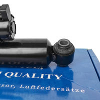 2133202200 2573201501 Hinterer Stoßdämpfer mit ADS für Mercedes Benz W213 W257 CLS 2/4MATIC Direkter Ersatz Hochbelastbar