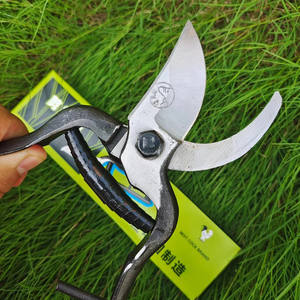 กรรไกรตัดกิ่ง Wang'er ใบมีดเหล็ก 50 มม. รูปทรงปากนก ด้ามจับกันลื่น ตัดกิ่งไม้ผลไม้ด้วยมือ ผลิตในจีน - Product Image 1