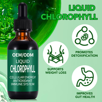 Gouttes liquides de chlorophylle à marque privée pour la détox et l'énergie, saveur menthe, formule personnalisée, fabricant OEM/ODM, vente en gros en vrac
