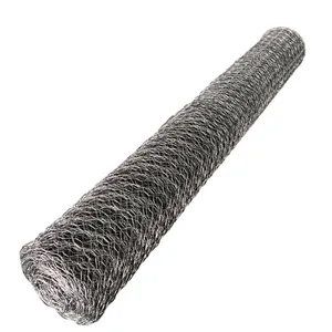 防锈3/4英寸20毫米镀锌六角编织丝网定制鸡笼铁丝网迪拜