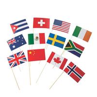 Nouvelles drapeaux de pays en cure-dents, 100 pays différents, et mini décorations pour cupcakes sur bâtonnets