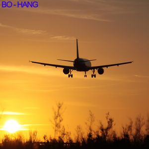 <span class=keywords><strong>Service</strong></span> de logistique de transport multimodal porte-à-porte avec expédition par voie aérienne + express et assistance 24h/24 et 7j/7 vers les destinations du monde entier - Product Image 3