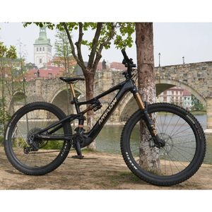 Venta al por mayor de bicicletas eléctricas de montaña Amflow PL de máxima potencia - Product Image 1