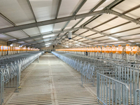 Hangar d'élevage de chèvres poulailler poulailler vache bâtiment de bétail ferme de porcs cages de couche oeuf cheval conception stable acier structurel