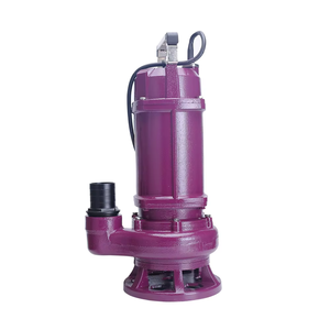 Pompe à eau submersible pour puits profond en acier inoxydable de haute qualité, 220 V, 1,1 kW, 1,5 CV, pompes submersibles pour eaux usées - Product Image 4