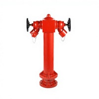 Hydrant d'incendie en fonte DN100 à 2 voies (type pilier) - Hydrant d'incendie humide avec vannes