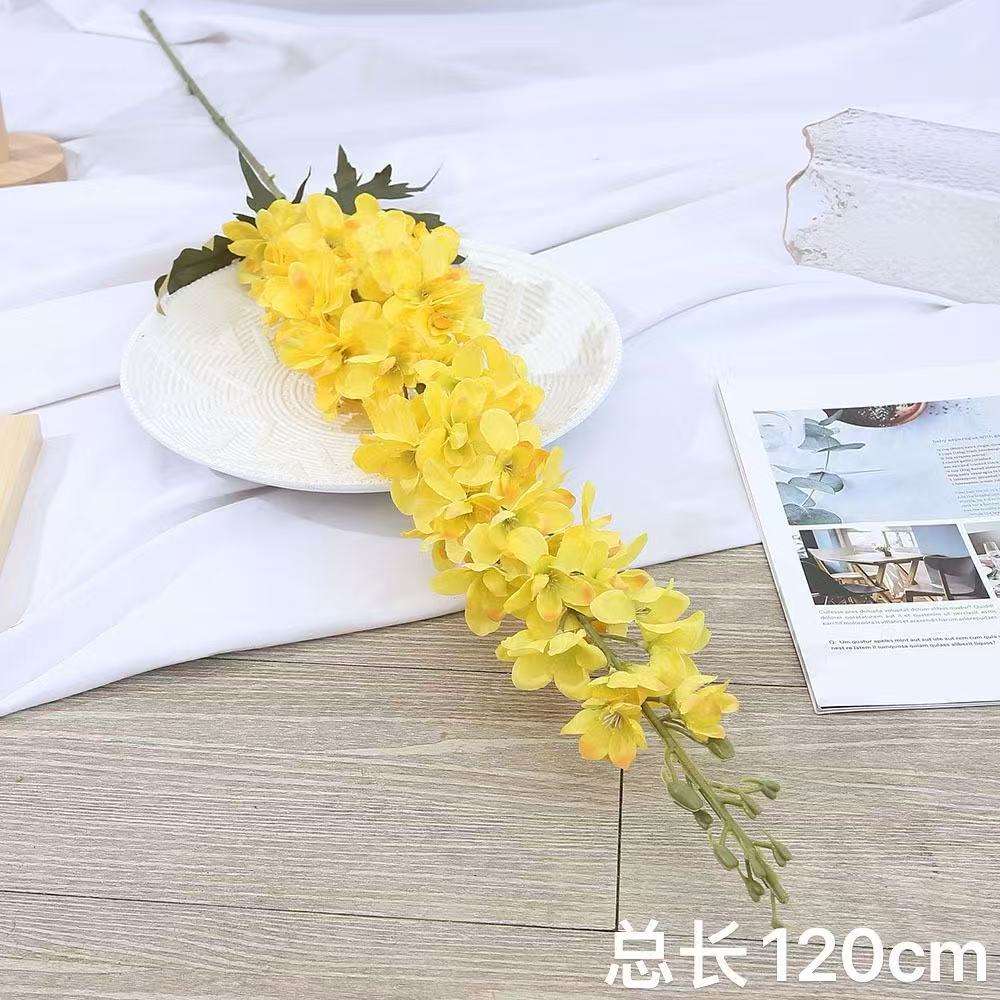 นกนางแอ่นสีเหลือง 12 ม