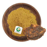 Fruiterco Private Label Echte Morieljes Extract Black Morel Mushroom Morchella Esculenta Extract