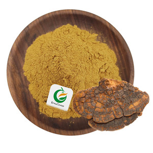 Fruiterco Private Label True Morels Extracto Black Morel Mushroom Morchella Esculenta Extracto - Product Image 2