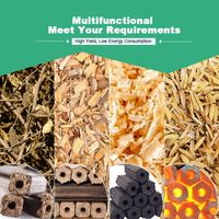 Prix usine MEILLEUR projet de presse à briquettes de charbon de bois de sciure de bois de biomasse petite machine à briquettes