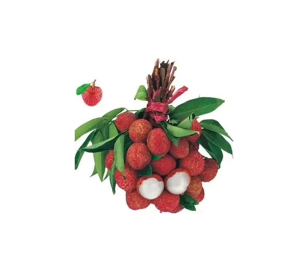 Chinese the best fruit hot sell fresh seedless lychee/litchi/lichee