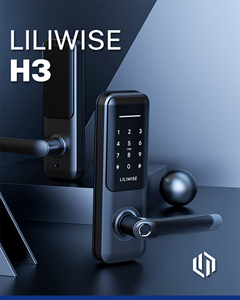 Cerradura Inteligente Liliwise Tuya con Control por Aplicación Móvil, Huella Dactilar, Código Remoto Electrónico, Caja de Seguridad con Llave Inteligente para Hotel, Apartamento y Hogar - Product Image 2