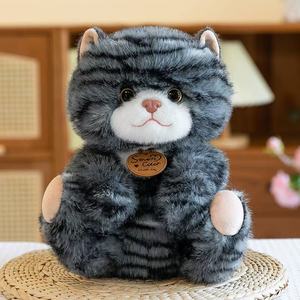 All'ingrosso realistico Tabby Multi colore gatto peluche gattino giocattolo peluche bambole di animali di pezza - Product Image 5