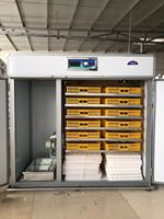 Incubateur d'Œufs 1000/1056 / Incubateur d'Œufs de Poule en Vente Chaude / Machine d'Incubation à Bas Prix