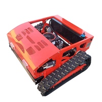 Diskon Besar! Obral Mesin Pemotong Rumput Taman Mini Robot Murah Mesin Pemotong Rumput RC dengan Mesin EPA