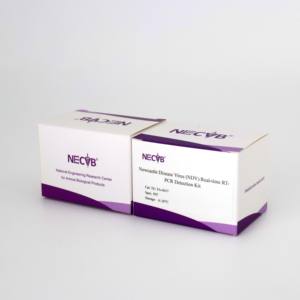 Avian <span class=keywords><strong>Newcastle</strong></span> <span class=keywords><strong>Disease</strong></span> RT-PCR Kit | Para Aves, Vet Labs, Vacina QC (Swab Oral/amostras de tecido) - Product Image 5