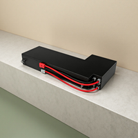 Pack de batteries LiFePO4 personnalisé 12V-1000V 10Ah-1000Ah, qualité industrielle, batterie de stockage au lithium multi-scénarios