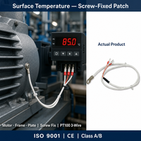 HUADONG Surface Mount Round Hole PT100 RTD Temperature Sensor, 3 Wire, Metal Mounting Tabs for Surface Temperature Measurement