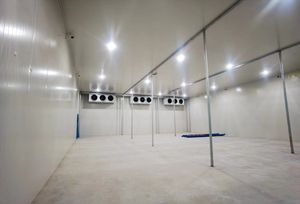 Entrepôt frigorifique logistique intégré à grande échelle équipement de réfrigérateur banane énergie pour les poissons de mer - Product Image 2