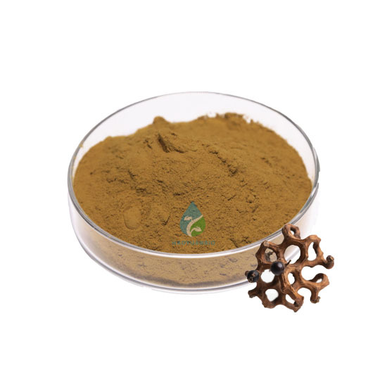Wholesale Price Vine Tea Extract Powder Dihydromyricetin DHM 98% Hovenia Dulcis Extract