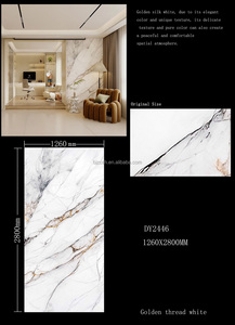 Panel de pared de PVC UV para decoración de interiores, lámina de PVC de imitación de mármol con impresión 3D - Product Image 6