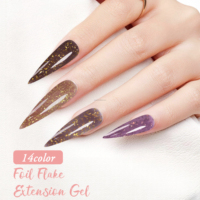 Vente en gros de gel UV LED pour extension d'ongles de 15 ml, paillettes, collection étendue, non toxique, écologique, sans HEMA, longue durée, OEM ODM