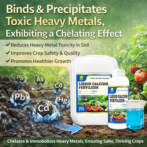 El <span class=keywords><strong>Mejor</strong></span> <span class=keywords><strong>Fertilizante</strong></span> de Calcio <span class=keywords><strong>para</strong></span> <span class=keywords><strong>Tomates</strong></span>, Previene la Podridad, Mejora el Rendimiento, Fórmula Soluble en Agua - Product Image 2