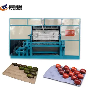 Automatic High Quality Egg Tray Making Machine With Egg Tray Making Molding Machine