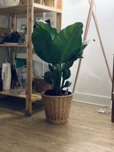 Panier de rangement mural en osier YULIN JIAFU <span class=keywords><strong>JFU</strong></span>, multifonctionnel et écologique, idéal pour aliments, boissons ou fleurs – Nouveauté promotionnelle - Product Image 6