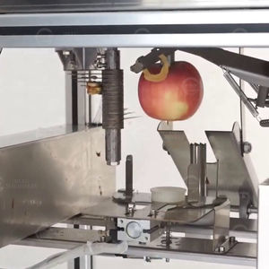 Máquina Procesadora de Frutas Automática para Descorazonar, Pelar y Rebanar Manzanas con Alta Productividad, Acero Inoxidable 304 - Product Image 4