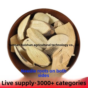 Vente en gros d'aiguille double face racine de taureau moulu épine double face poivre de montagne tigre de montagne aiguille double face séchée AD - Product Image 6