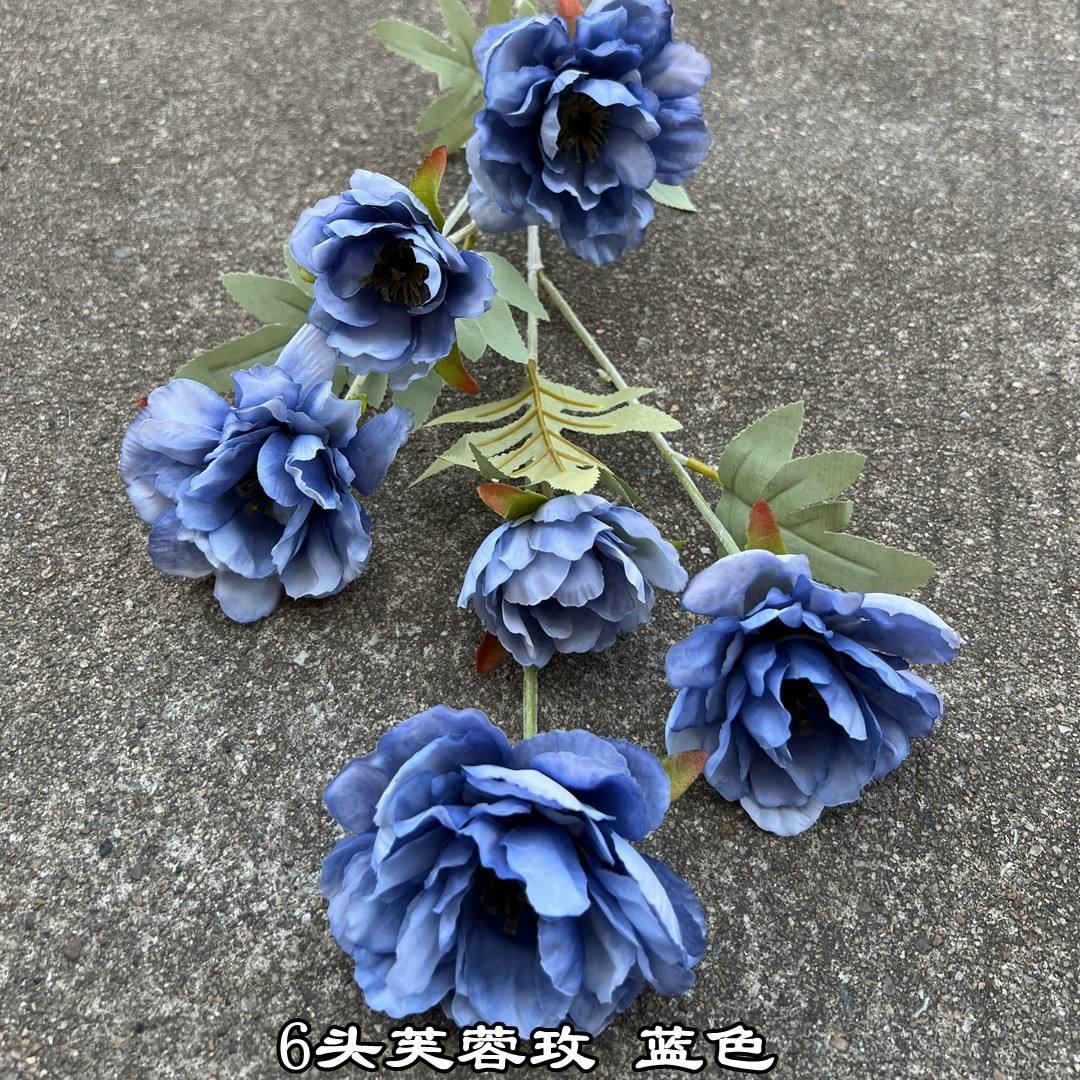 Dusty Blue, 6 hibiscus rose blue