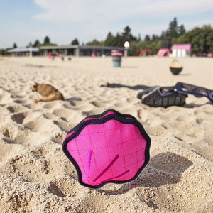 Jual Langsung dari Pabrik Mainan Anjing Oxford <span class=keywords><strong>Sea</strong></span> Life Scallop 2520D dengan Logo Kustom, Mainan Kunyah Tahan Lama untuk Anjing, Hadiah Terbaik untuk Hewan Peliharaan - Product Image 4