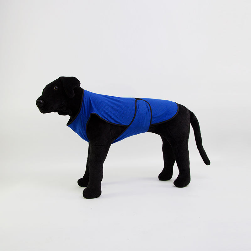 สีน้ำเงินเข้ม