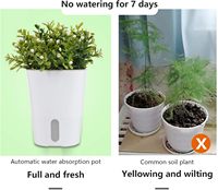 Pots de plantes auto-arrosants écologiques Pioneera PP avec trous de drainage, design moderne, utilisation intérieure/extérieure, modèle non enduit SWP-950