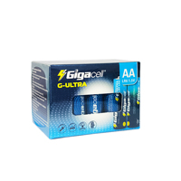 Pile alcaline G-Ultra 1,5 V format AA, lot économique de 10 piles AA alcalines en boîte rétractable pour usage domestique