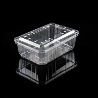 Boîte à dessert jetable transparente en PET pour cupcakes, macarons, scones, muffins, biscuits, pâtisserie, vente au détail, épicerie, traiteur, supermarché, vente en gros, OEM
