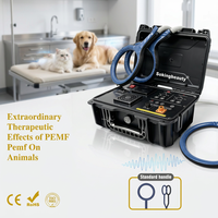 Appareil PEMF portable à prix d'usine pour chevaux, stabilisant l'état émotionnel, dispositif à impulsions magnétiques PEMF pour clinique vétérinaire