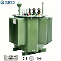 Transformateur de puissance triphasé immergé dans l'huile de 300 kVA 50 Hz à trois enroulements pour les projets de modernisation de l'électricité des réseaux ruraux