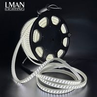Lampu Konstruksi Portabel AC230V Lampu Strip Fleksibel Epistar 80M PVC Tahan Air IP65 CRI Tinggi>83 Dapat Diredupkan Industrial
