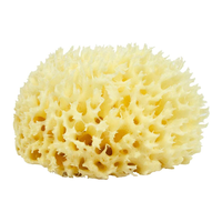 Éponge de mer douce naturelle, éponge en mousse de mer naturelle molletonnée organique, vente en gros, g