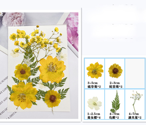 Gepresste Blumen für Harz-Lesezeichen Rahmen-Mixpacks DIY Kunsthandwerk Natürliche Pflanzen Umweltfreundlich - Product Image 6