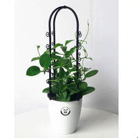 Étagère de jardin pour fruits et légumes, arc d'escalade, en métal, treillis de fleurs, facile à vendre, produits de jardinage