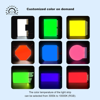 JXDC-LED Fábrica OEM ODM Personalizado Retroiluminación Blanca Azulada Luz LED de Alta Intensidad Cable para Dispensador de Combustible LCD Tatsuno Sunny XE Hecho a Medida