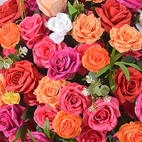Usine en gros artificielle grande fleur boule rose vif Orange Rose vert feuille mariage toile de fond décoration noël événement fête