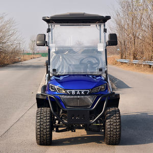 맞춤형 전기 앰비언트 조명 OEM 골프 헌팅 카트 버기 4인승 클럽 파티 - Product Image 3