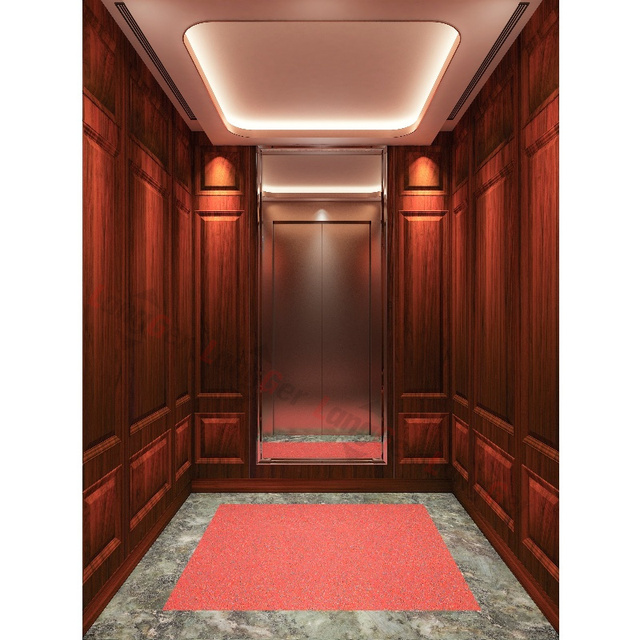 Electric Building Elevator Passenger Lift 630kg 800kg Apartment and Office Elevator System with CE Certification