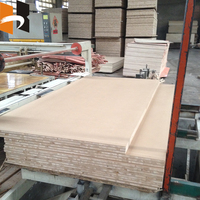 Tablero de bloque laminado con núcleo de madera Falcata Paulownia de 18mm 19mm 30mm 45mm